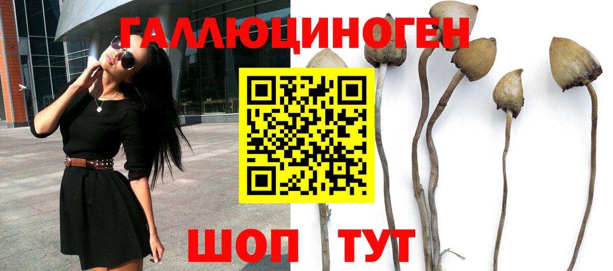 Псилоцибиновые грибы MAGIC MUSHROOMS  где продают   Севастополь  Вход с VPN 